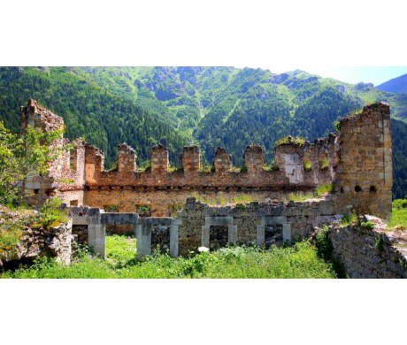 Gümüşhane Dedektör