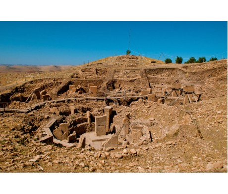 Şanlıurfa Dedektör